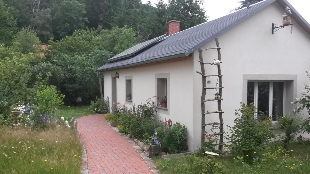 Pochebachhaeusl Villa Kurort Jonsdorf Exterior foto